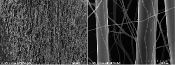 A fibrous chitosan film