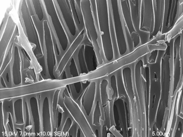 A macroporous carbon sorbent made by templating a resin