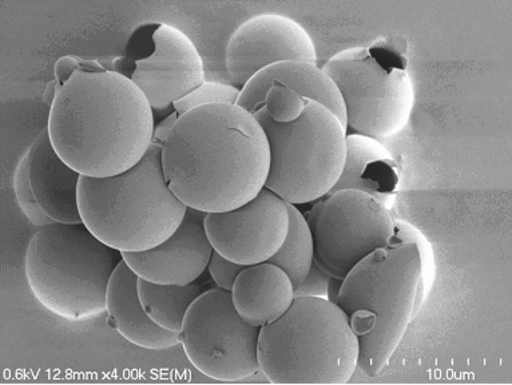 silica/siloxane hybrid vesicles