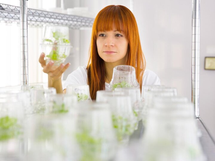 Woman looking at plant in jar
