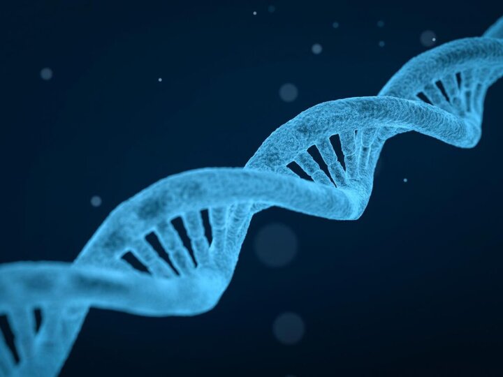DNA
