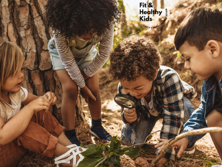 children gathered together looking at tree leaves