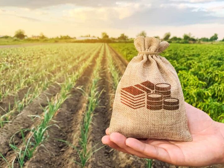 Picture of corn field and a farmer holding a bag of resources